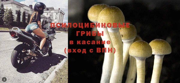 хмурый Абдулино