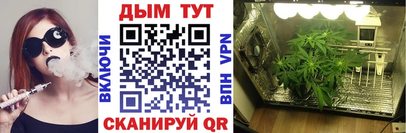 Бошки марихуана AK-47  купить наркотики цена  Магнитогорск 